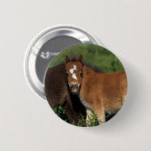 ミニチュアは草で産みます 缶バッジ (正面&裏面)