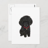 ミニチュアまたはトイプードル – ブラック1 ポストカード (正面/裏面)