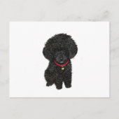 ミニチュアまたはトイプードル – ブラック1 ポストカード (正面)