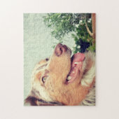 ミニチュアアメリカン・シェパード・レッド・メルル ジグソーパズル (縦)