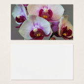 ミニチュアオーキッド (正面&裏面)