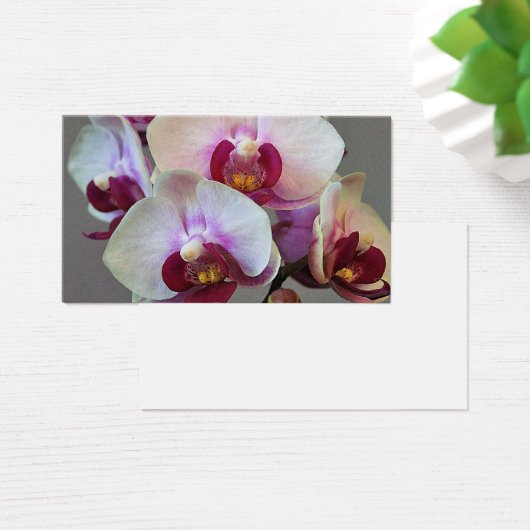 ミニチュアオーキッド (デスク)