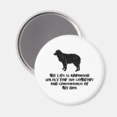 ミニチュアオーストラリアの羊飼い マグネット (正面/裏面)