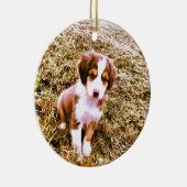 ミニチュアオーストラリアの羊飼い! 小型オーストラリアの子犬! セラミックオーナメント (右)