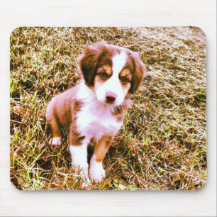 ミニチュアオーストラリアの羊飼い! 小型オーストラリアの子犬! マウスパッド