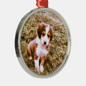 ミニチュアオーストラリアの羊飼い! 小型オーストラリアの子犬! メタルオーナメント (右)