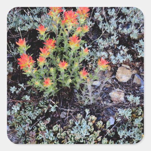 ミニチュアガーデンアットジェムレイク スクエアシール (正面)