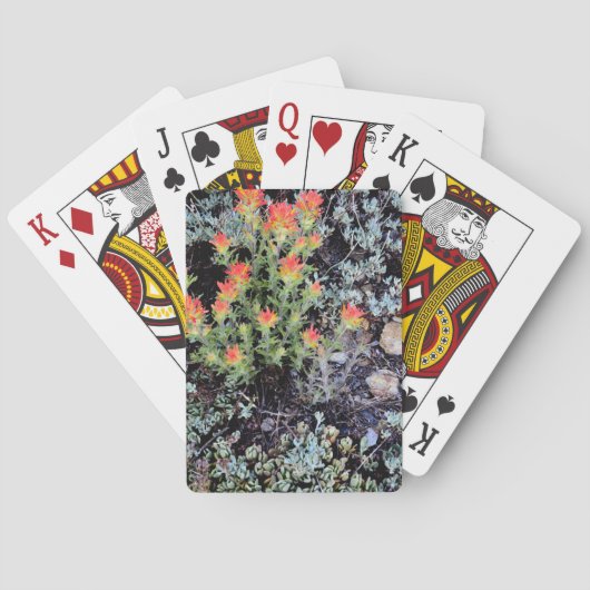 ミニチュアガーデンアットジェムレイク トランプ (裏面)