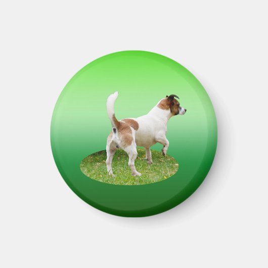 ミニチュアキツネテリア警告、冷蔵庫用マグネット マグネット (正面)