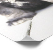 ミニチュアシュナウザーは小犬の品種だ ポスター (角)