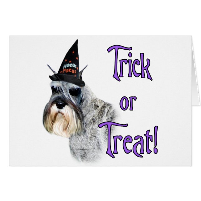 ミニチュアシュナウザートリック (正面横)