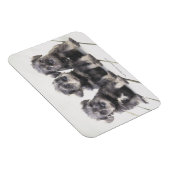 ミニチュアシュナウザーパピー マグネット (右側)