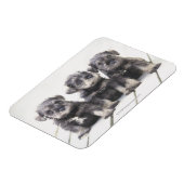 ミニチュアシュナウザーパピー マグネット (左側)