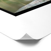 ミニチュアシュナウザーポスター ポスター (角)