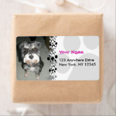 ミニチュアシュナウザー写真 ラベル (インサイチュ)