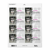 ミニチュアシュナウザー写真 ラベル (フルシート)