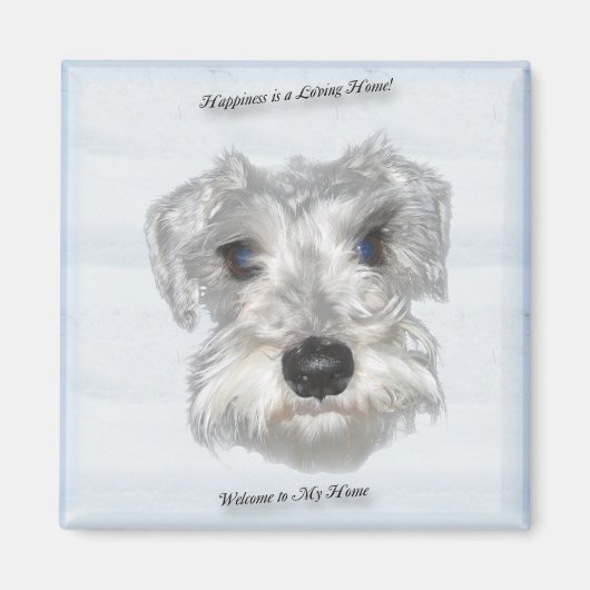 ミニチュアシュナウザー磁石 マグネット (正面)