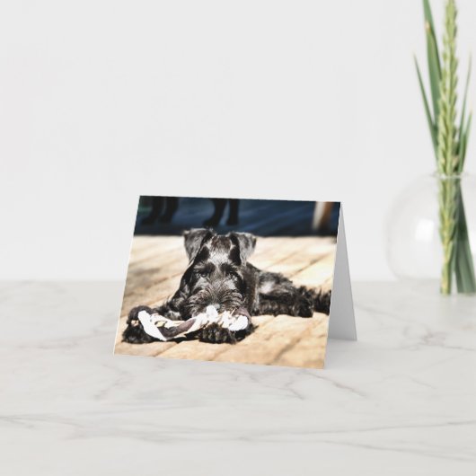 ミニチュアシュナウツァーノートカード#2 空白の - カード (正面)