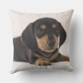 ミニチュアダシュント クッション (裏面)