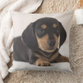 ミニチュアダシュント クッション (ブランケット)