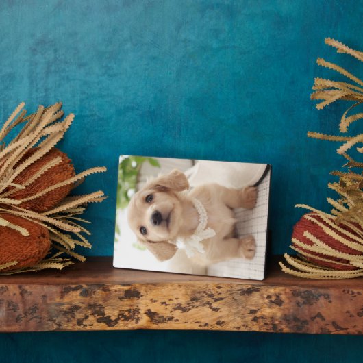 ミニチュアダシュント フォトプラーク (側面)