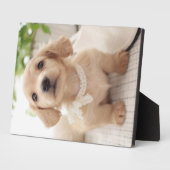 ミニチュアダシュント フォトプラーク (側面)