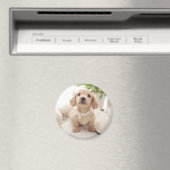 ミニチュアダシュント マグネット (インサイチュ (食洗機))