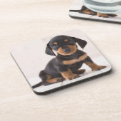 ミニチュアダックスフントのモデル コースター (左側)