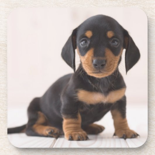 ミニチュアダックスフントのモデル コースター (正面)