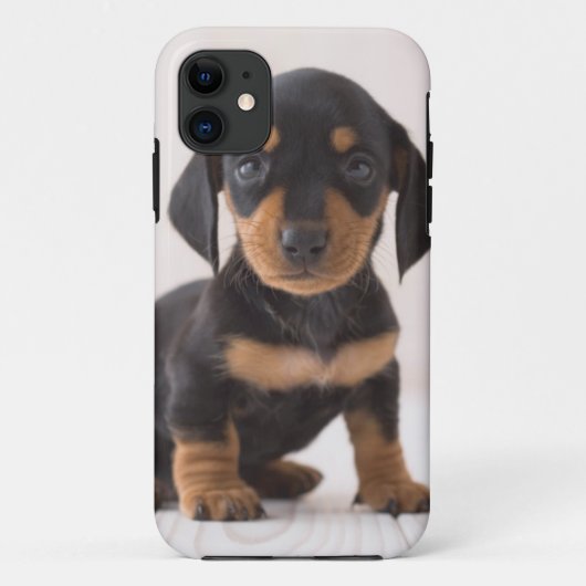 ミニチュアダックスフントのモデル Case-Mate iPhoneケース (裏面)