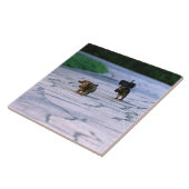 ミニチュアダックスフント3 タイル (側面)