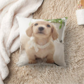 ミニチュアダックスフント クッション (ブランケット)