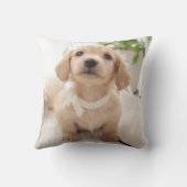 ミニチュアダックスフント クッション (裏面)