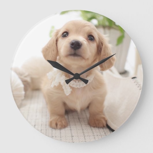 ミニチュアダックスフント ラージ壁時計 (正面)