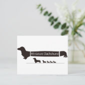 ミニチュアダックスフンドのおもしろグッズ ポストカード (スタンド正面)