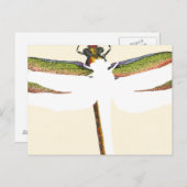ミニチュアトンボ（白） ポストカード (正面/裏面)