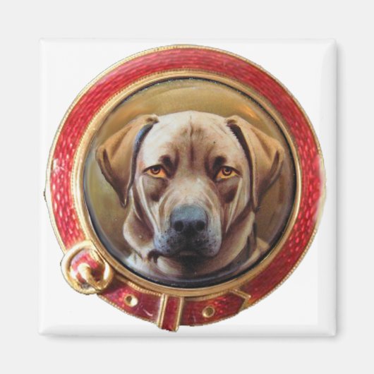 ミニチュアドッグポートレートチョコレートラブラドール マグネット (正面)