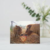 ミニチュアドンキー&ホースバレンタインハート シーズンポストカード (スタンド正面)