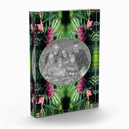 ミニチュアパインコーンのフレーム自分のフレームを追加 フォトブロック (左)