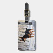 ミニチュアピンシャーで雪のクリスマスを過ごす ラゲッジタグ (正面縦)