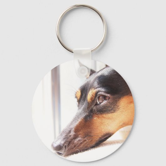 ミニチュアピンシャー キーホルダー (正面)