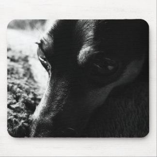 ミニチュアピンシャー マウスパッド