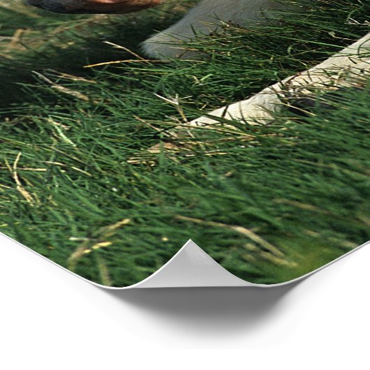 ミニチュアフォール敷設 ポスター (角)