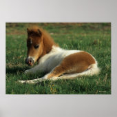 ミニチュアフォール敷設 ポスター (正面)