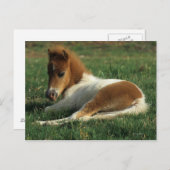 ミニチュアフォール敷設 ポストカード (正面/裏面)