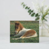 ミニチュアフォール敷設 ポストカード (スタンド正面)