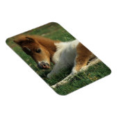 ミニチュアフォール敷設 マグネット (右側)