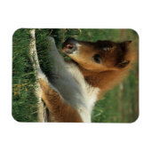 ミニチュアフォール敷設 マグネット (横)