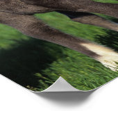 ミニチュアフォール1 ポスター (角)