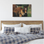 ミニチュアフォール2 キャンバスプリント (インサイチュ (寝室))